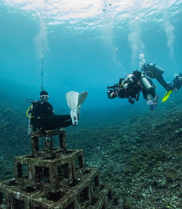 Saat-saat yang paling seru saat Scuba Diving adalah saat lagi foto-foto!
Sambil menjelajah dunia underwater, kita perlu mengabadikan kenangan seru sambil foto-foto.
Banyak area Scuba Diving saat ini memiliki spot khusus untuk foto-foto, baik yang alami ataupun buatan.