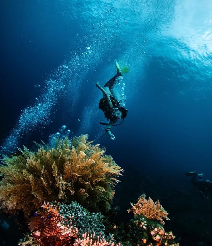 Tidak perlu jauh-jauh pergi ke planet lain untuk melihat bentuk kehidupan di dunia lain.
Dunia bawah laut di Bumi kita ini sudah sangat luar biasa menakjubkan.
Dengan Scuba Diving, kita bukan hanya bisa melihat kehidupan bawah laut, tetapi juga merasakan bagaimana rasanya kehidupan tersebut secara langsung.
Bahkan, saat kita sangat fokus dan menikmati, kita bisa merasakan diri kita menyatu dengan kehidupan bawah laut yang luar biasa ini.