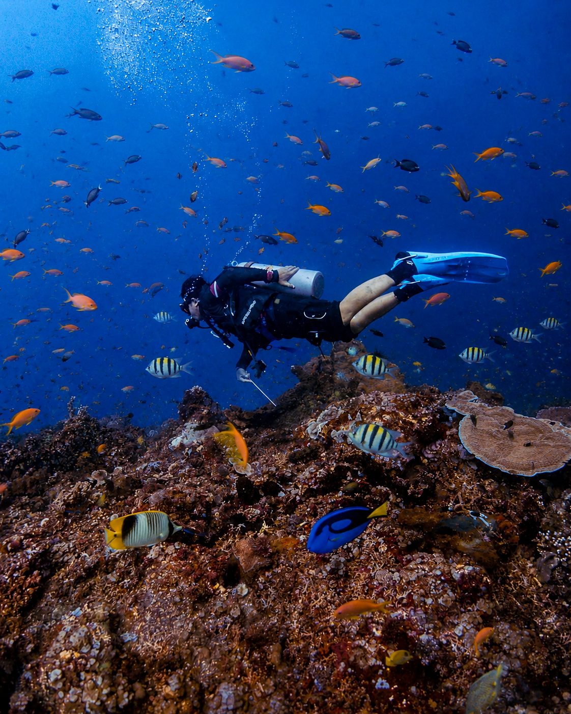 Ternate