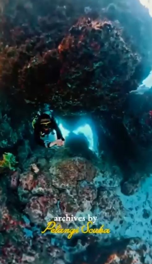 Pelangi Scuba Dive TripTernate 13-17 Feb 2026
Ternate - Tidore - Hiri